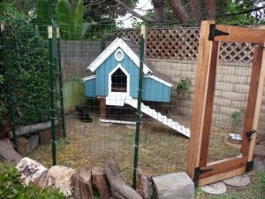 Chicken Coop